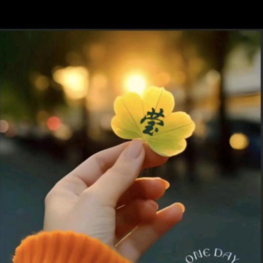 @🍀莹🌻羽毛球🏸