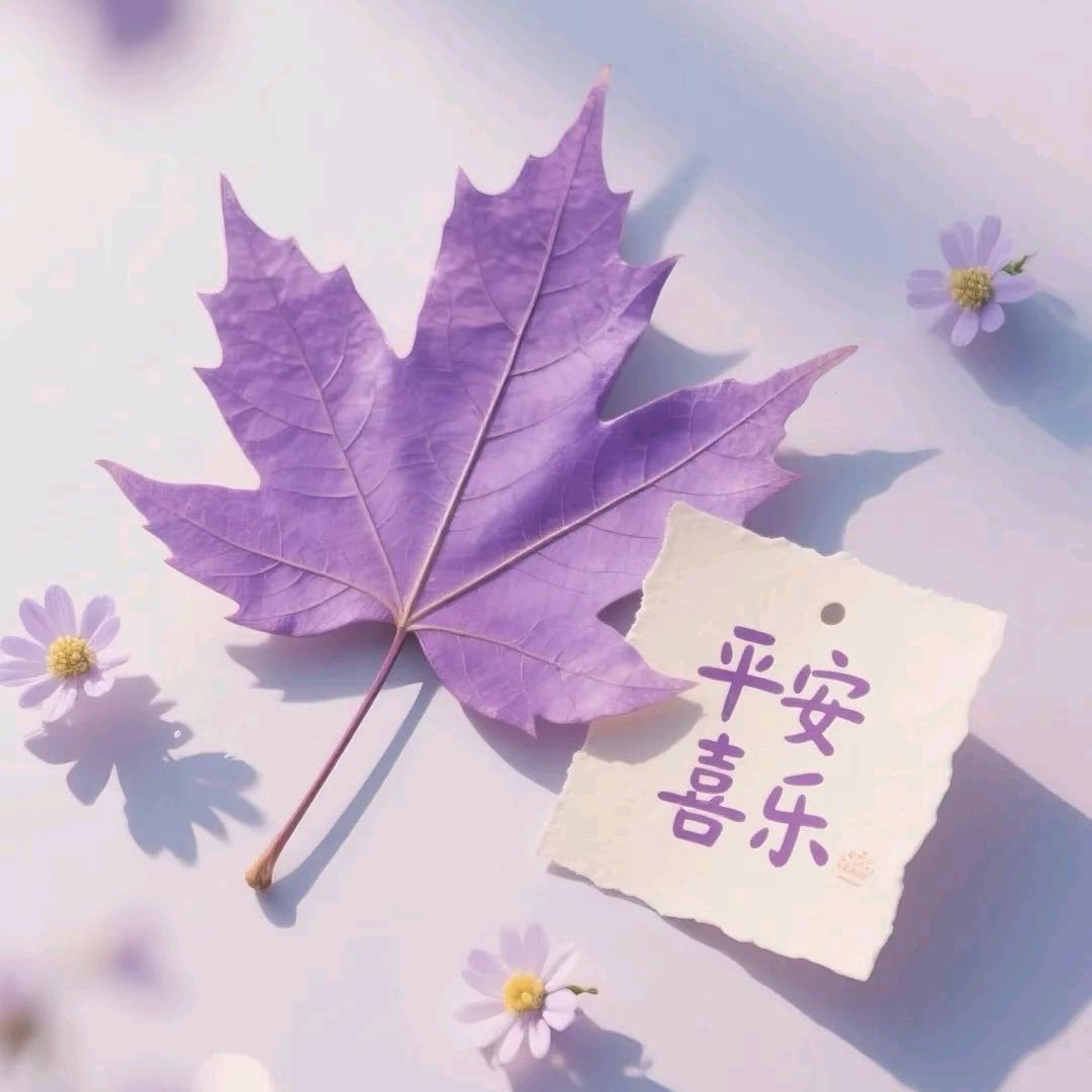 咪哚吖