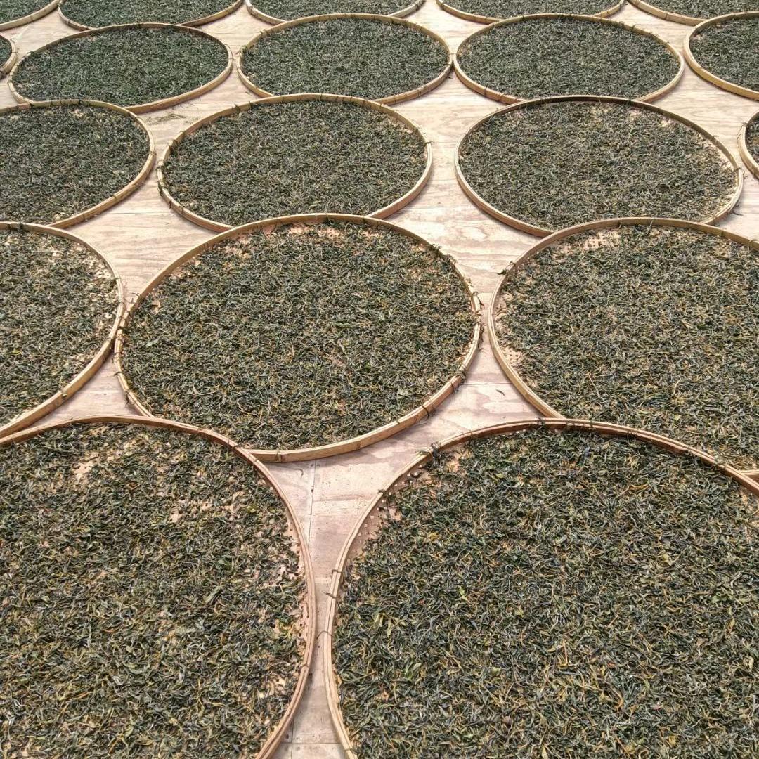 Σ( ° △ °|||)︴