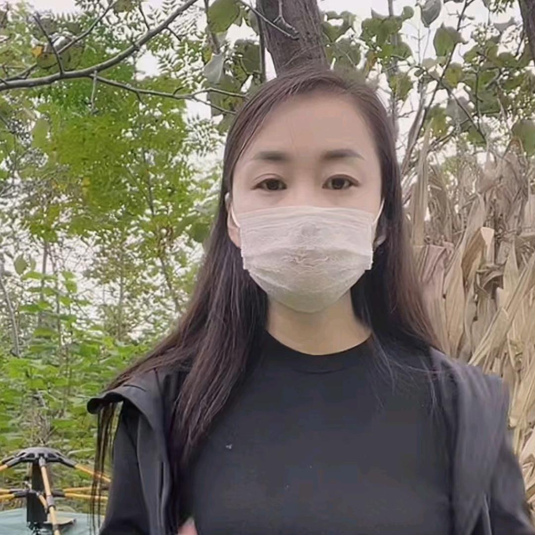 贰人转🌸🌸🌸🌸