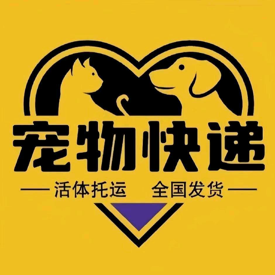 广西宠物托运