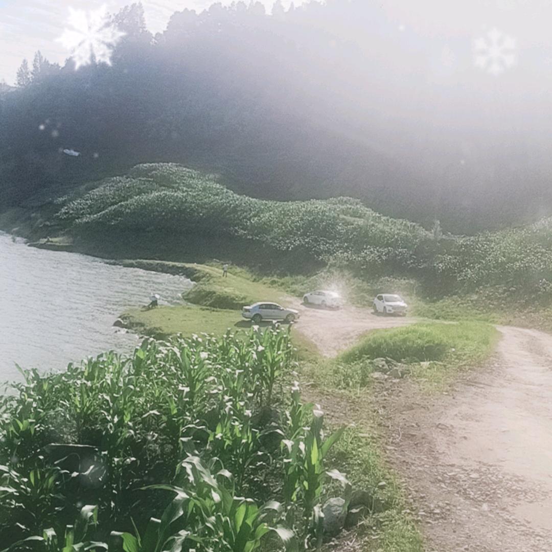 用户陈真明