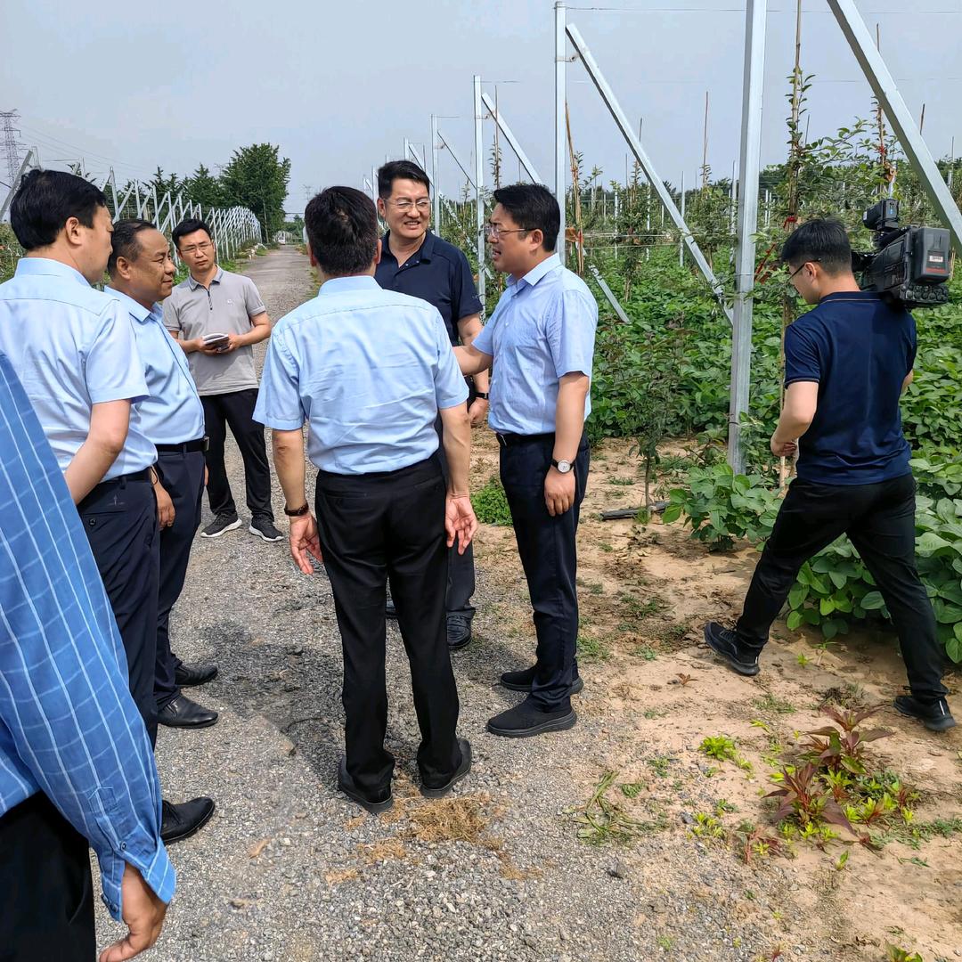 林木苗药（上门回收）