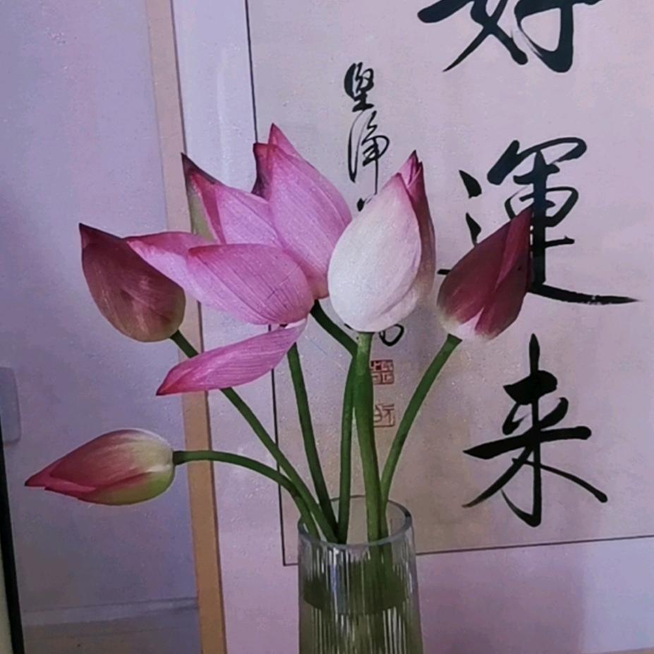 告别思念的疼痛
