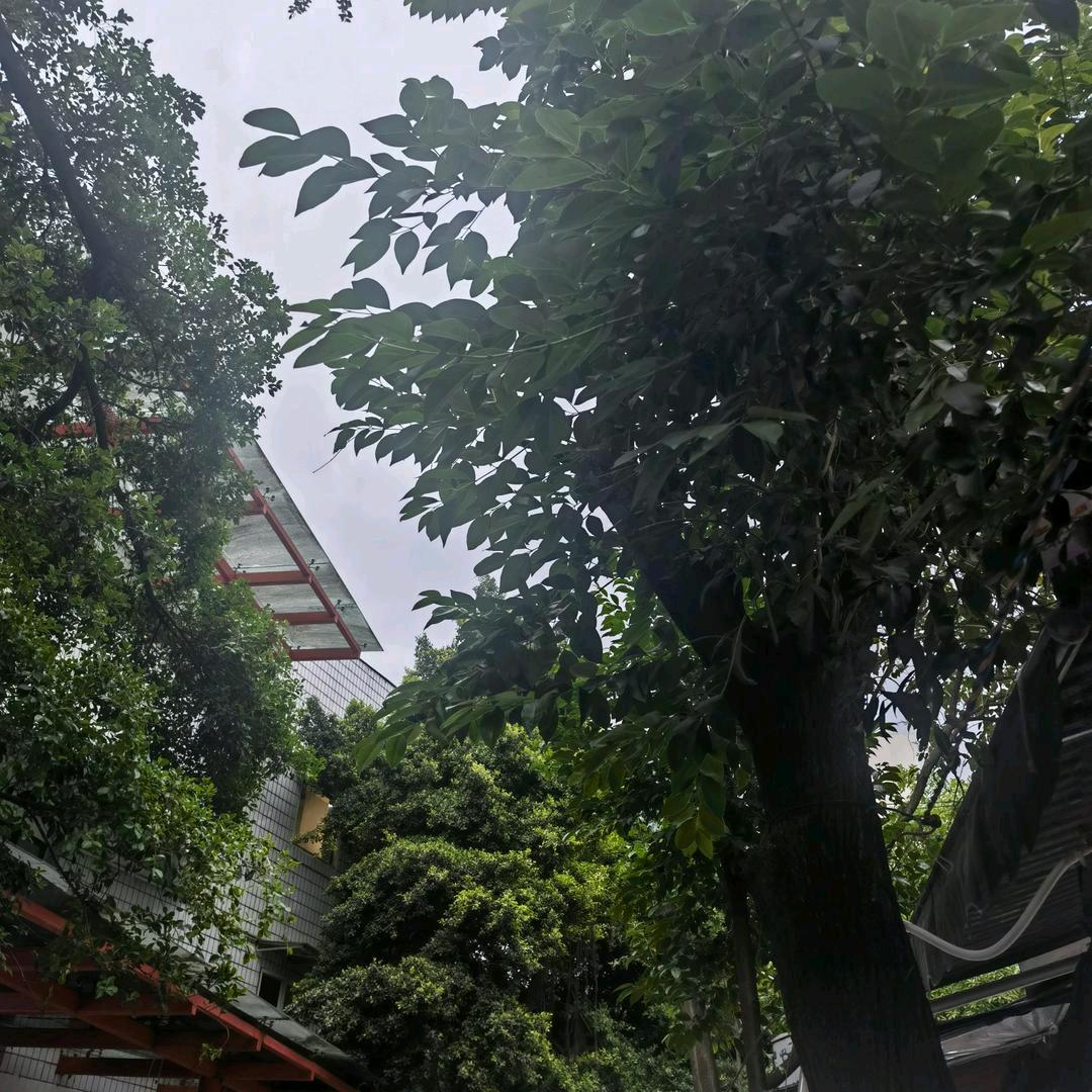 郑姐