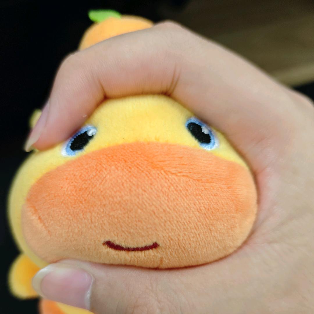 zz