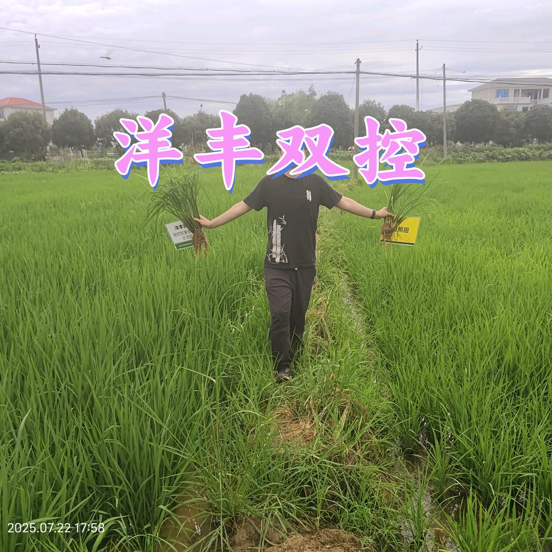 新洋丰长株潭肥料直通车