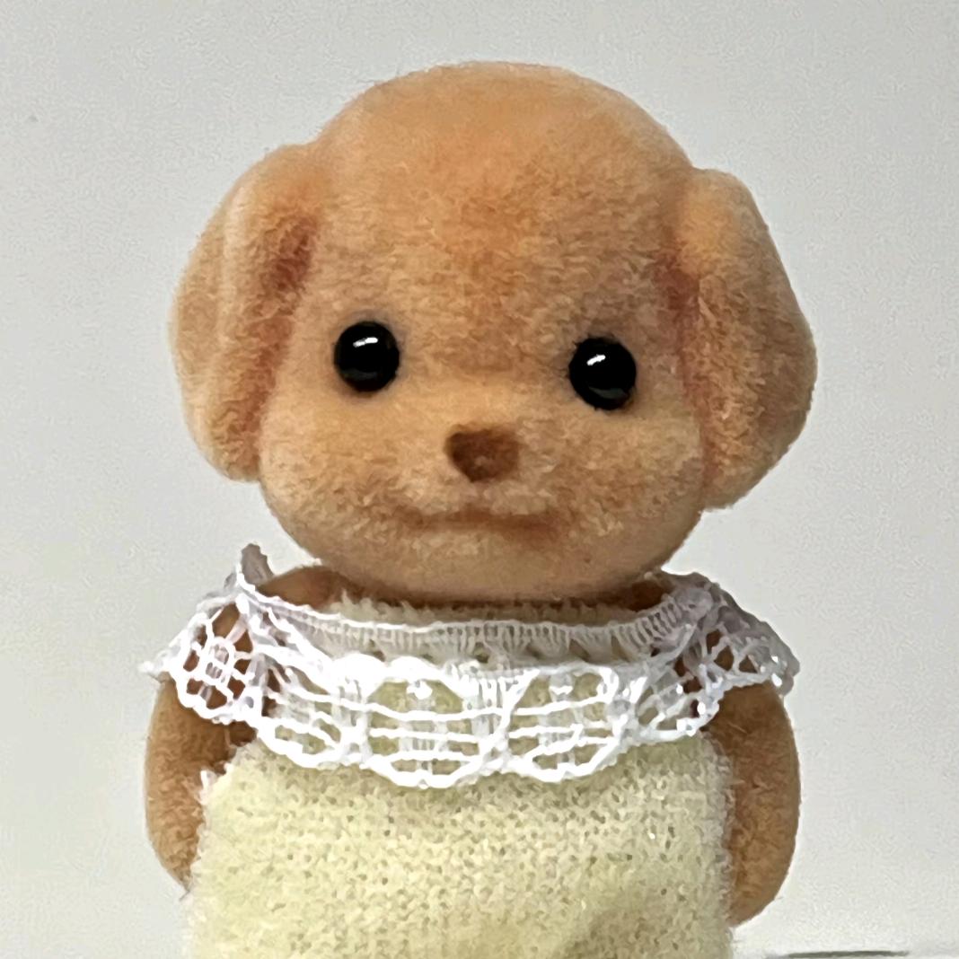橙子🐻