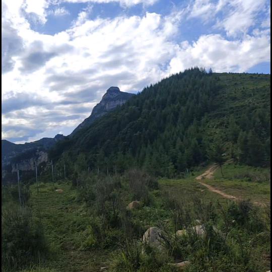 远风微凉