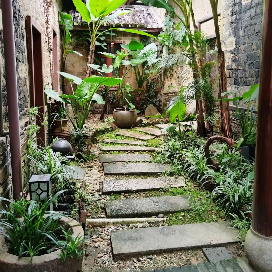 樱花树🌲