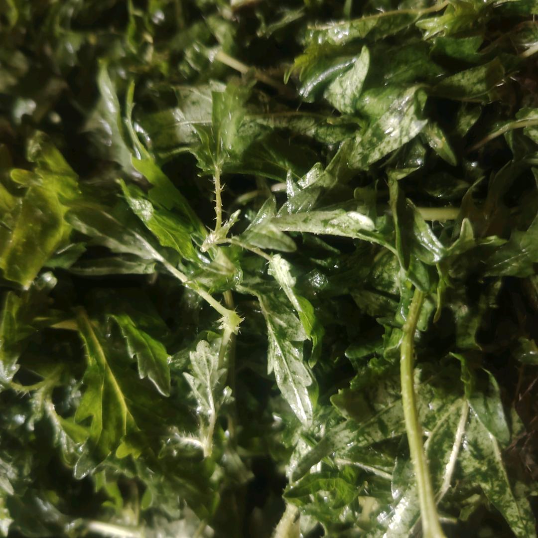 庄稼汉