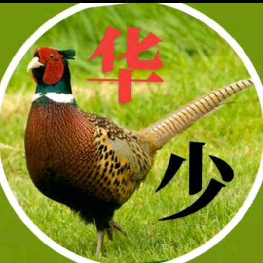 华少   鸡媒户外用品店