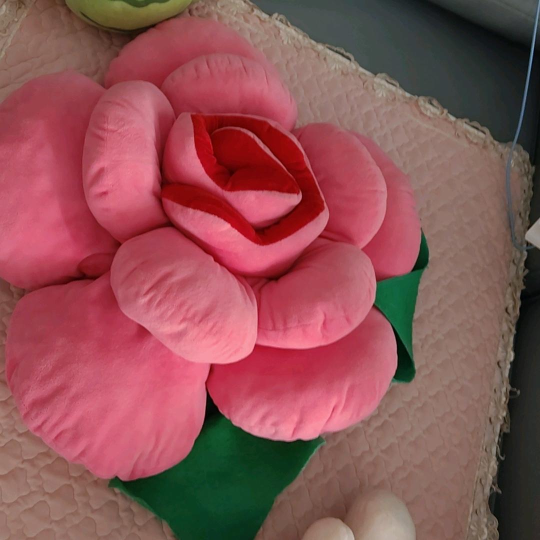 小哲妈妈，鸡娃