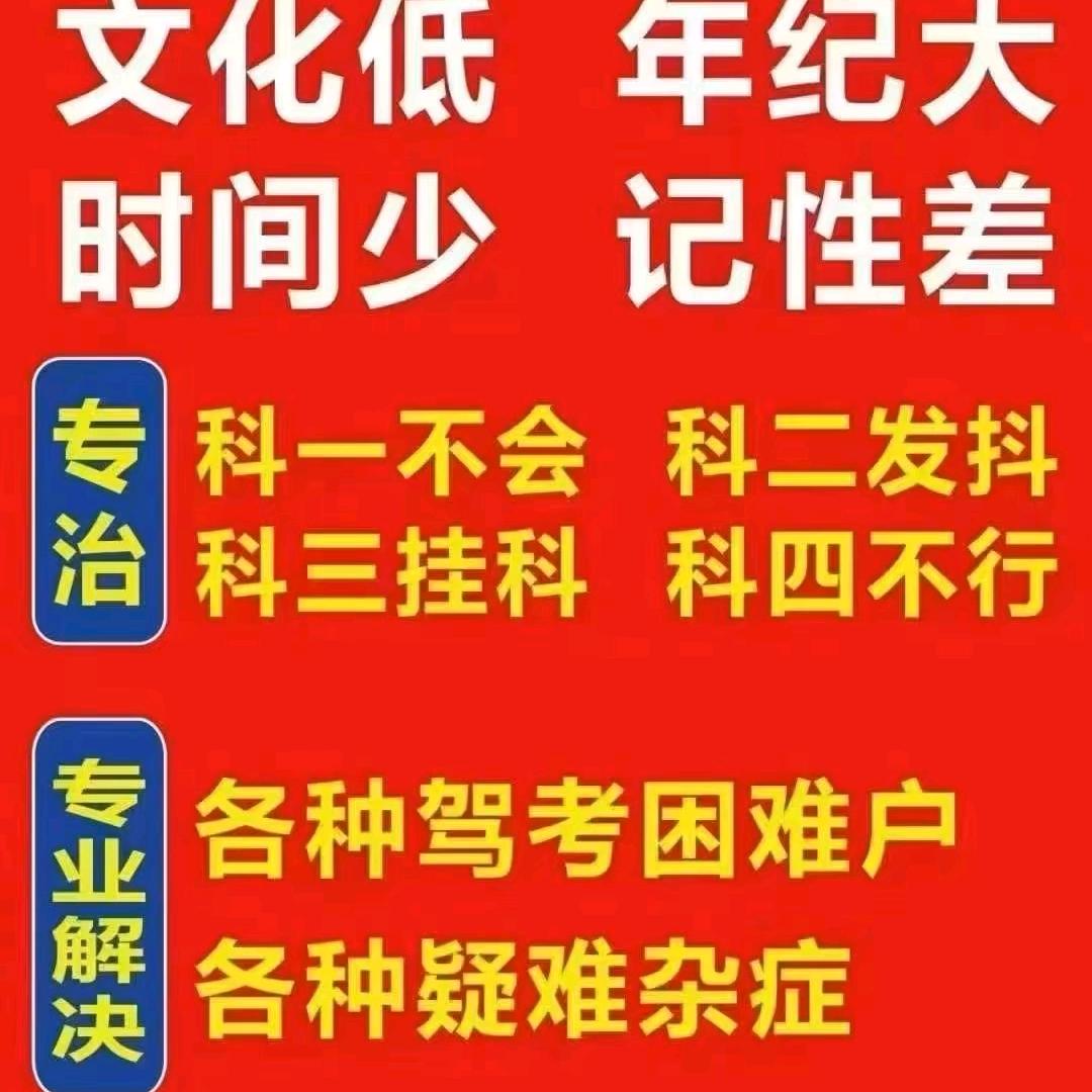 全系车型证