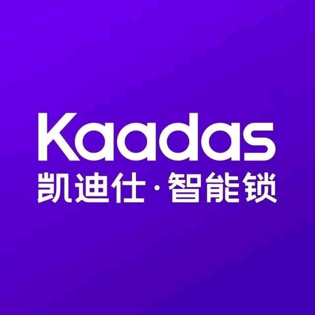 凯迪仕智能锁济南银座家居中心店赵菊🔥