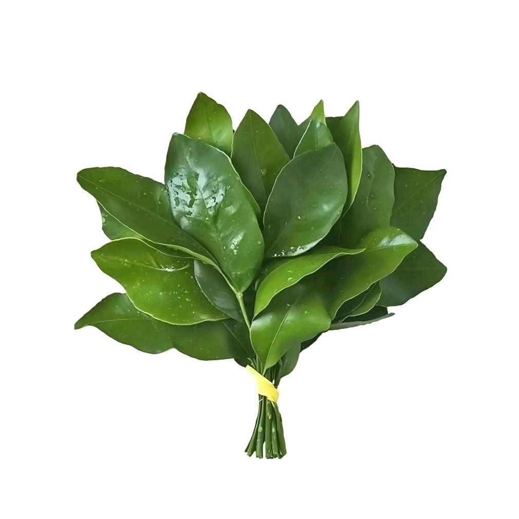 残忆