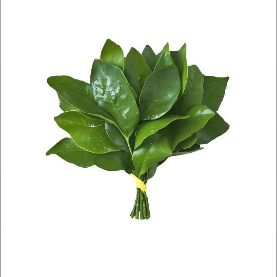 你好像卡粉了奥