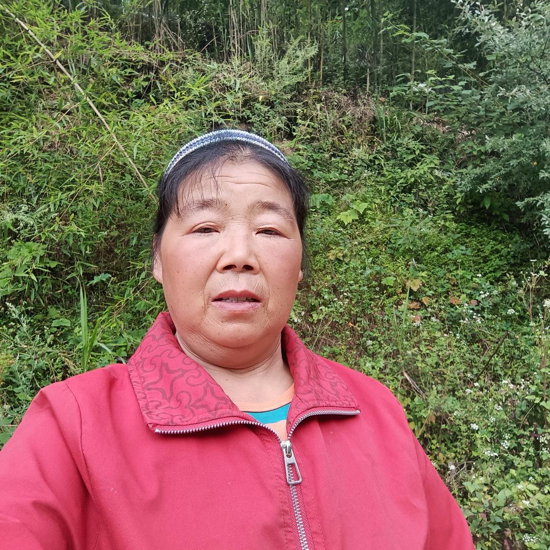 曾姐晚上19·20开播