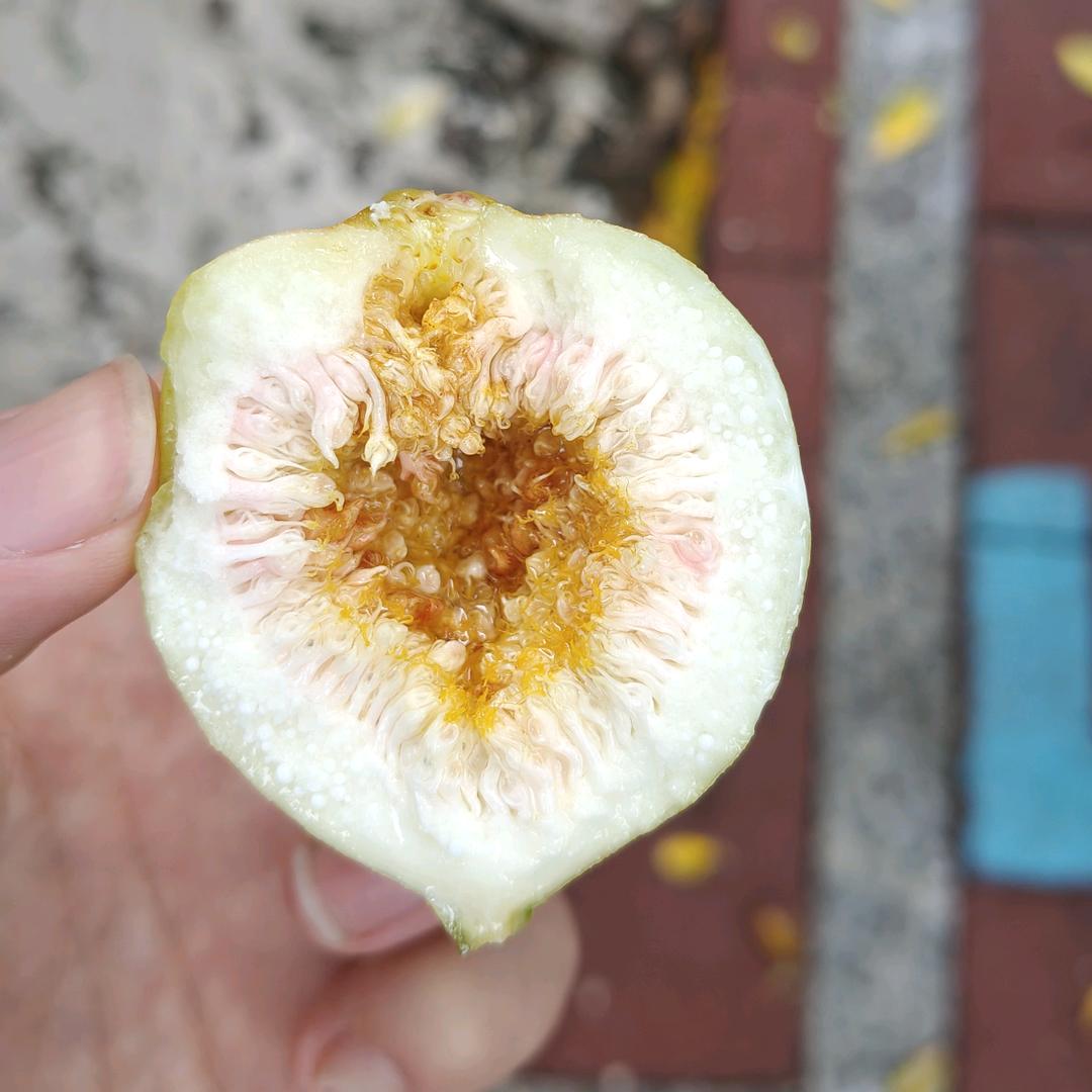 男配他重生之后