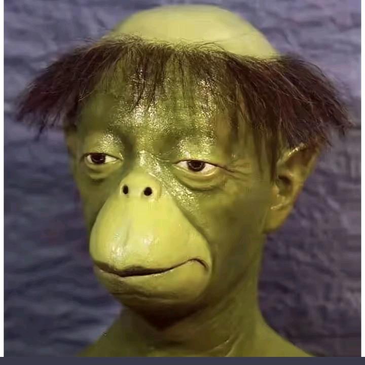 小龙虾又聋又眼瞎