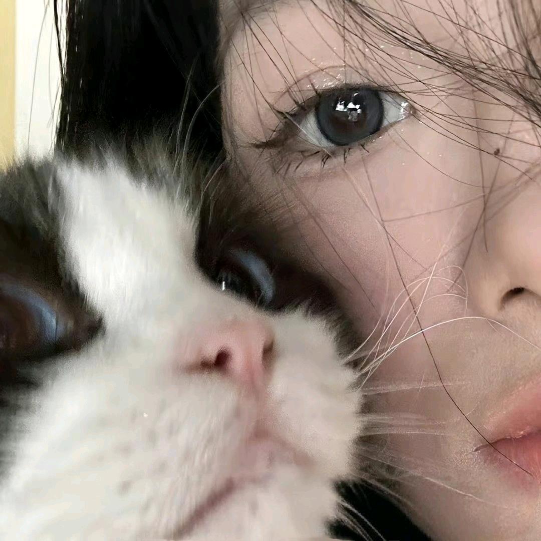 爱吃薄荷不是猫