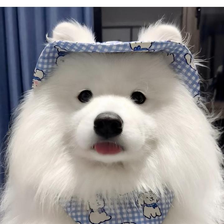 Bernice(见过石凯²版💚💙