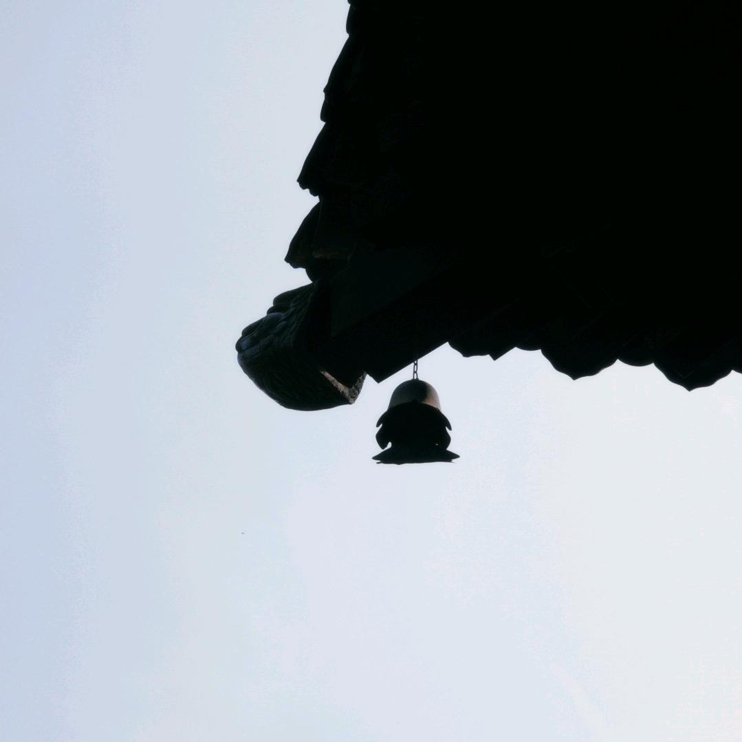 栀栀