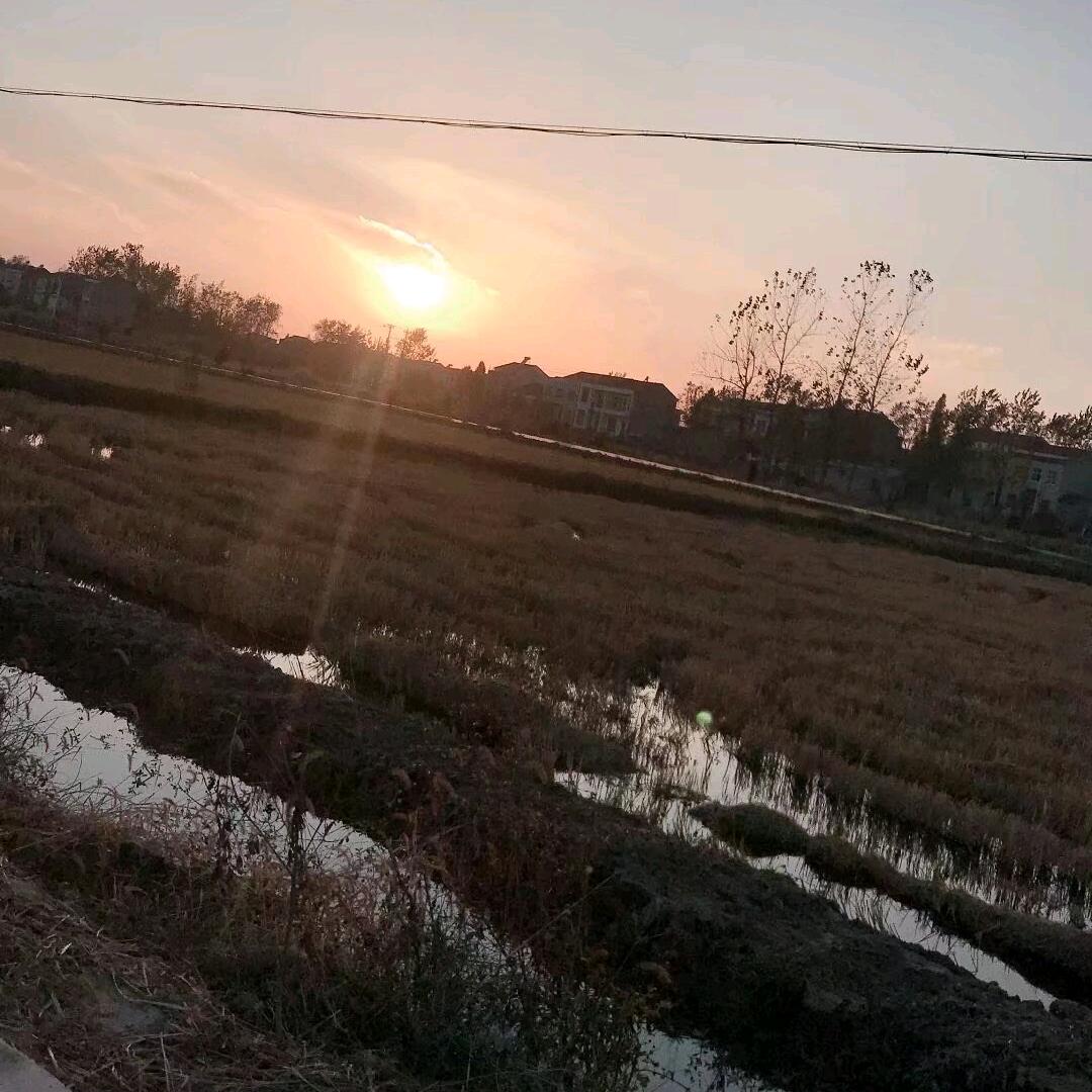 感恩的心