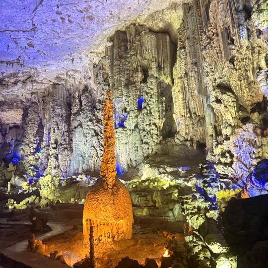 福星高照👌🌹