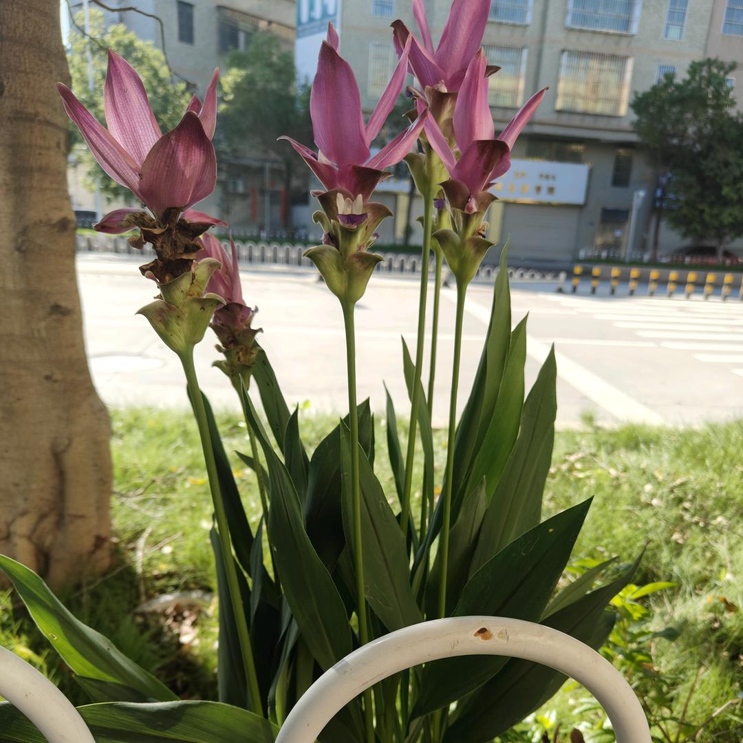 开心过好每一天。