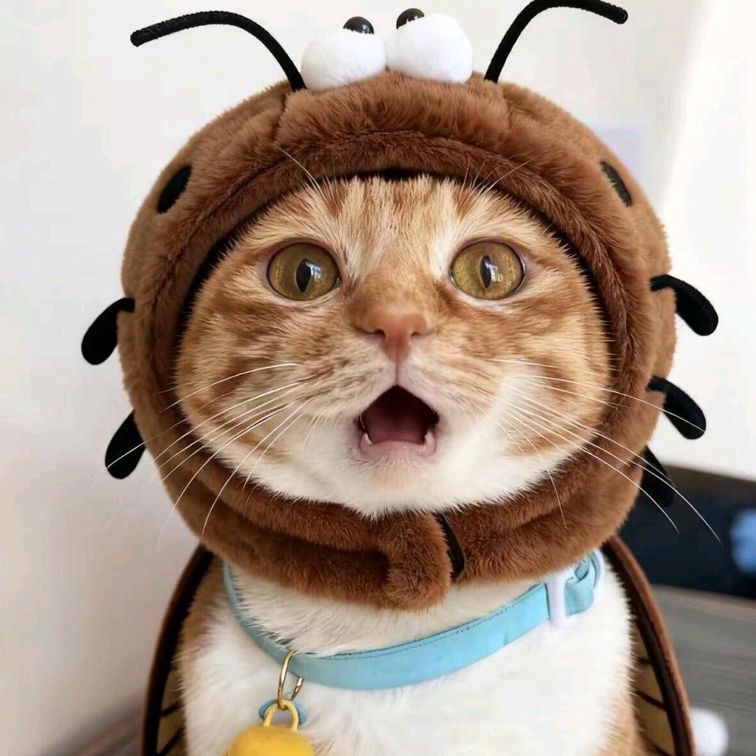 HBB
