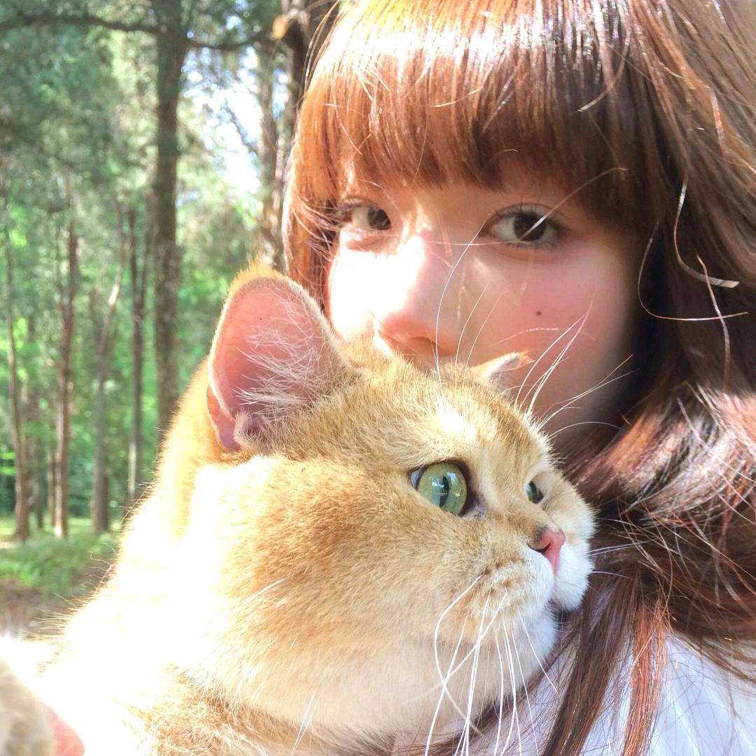 小羊小铺