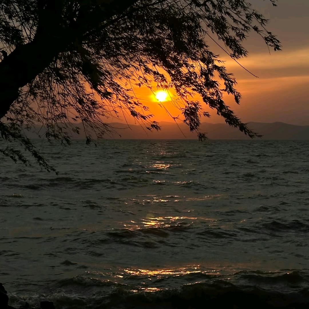 林峰
