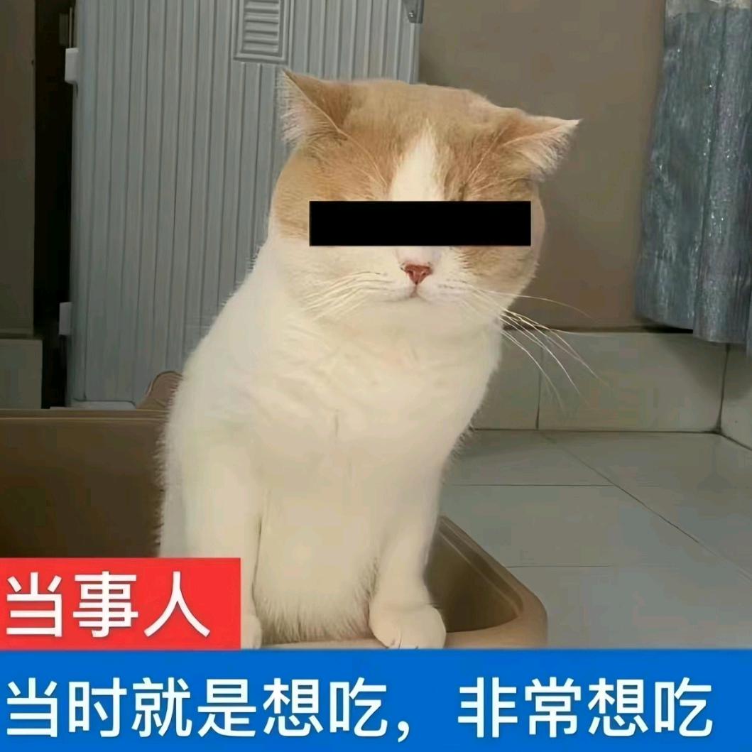 我无敌怎么你了