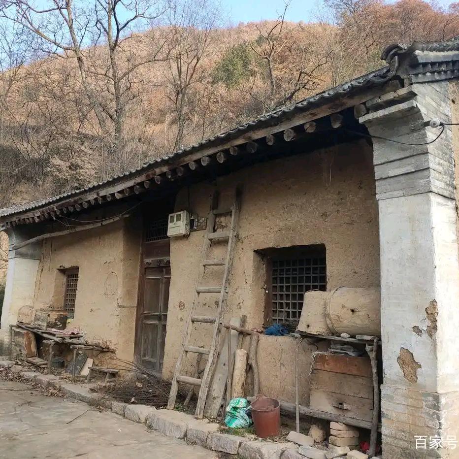 努力生活的小薛