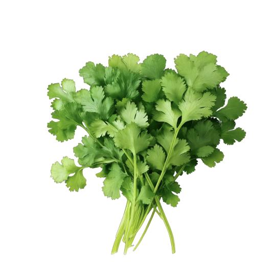 香菜王