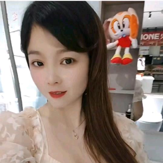 怀宁(东鹏整装卫浴)