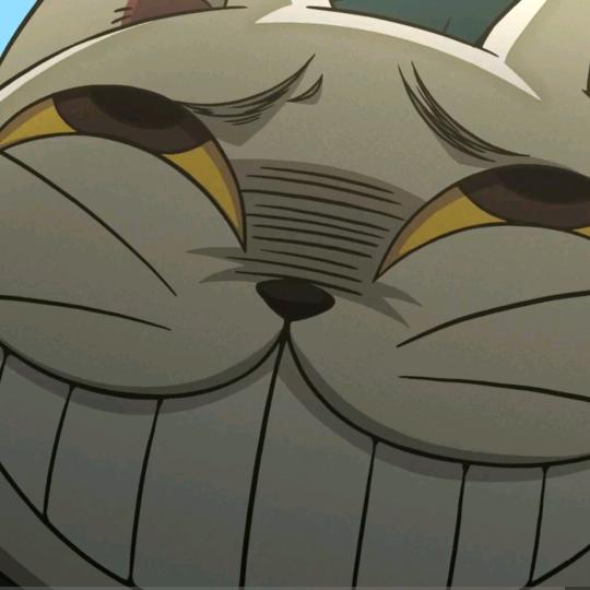 橙两倍