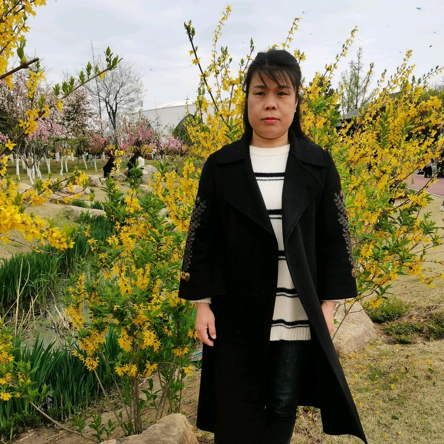 山东兰依
