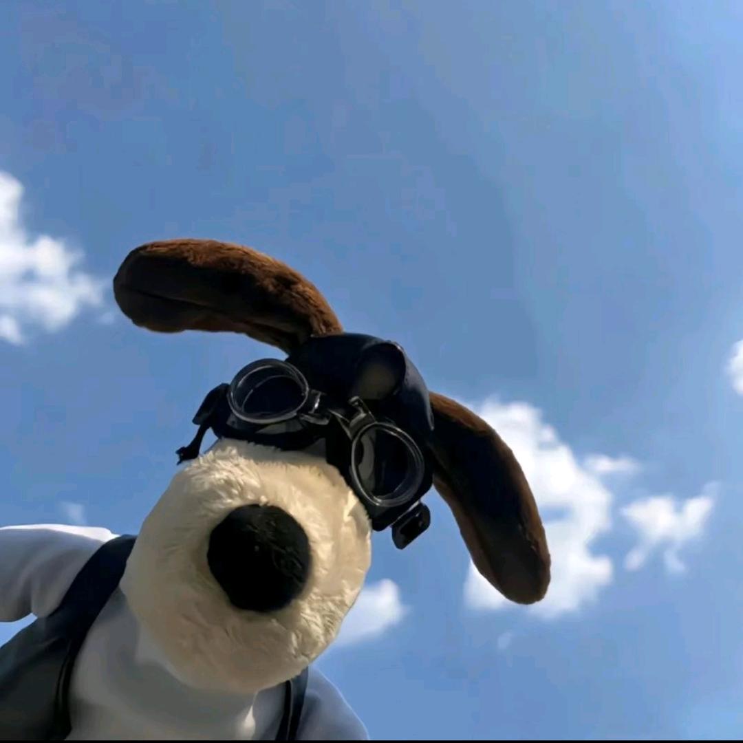 一只胖胖的大鹏（游戏推荐）