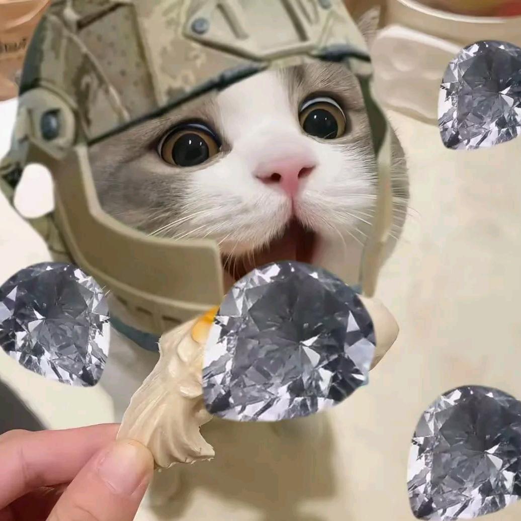 龙艺（牛角州行动）