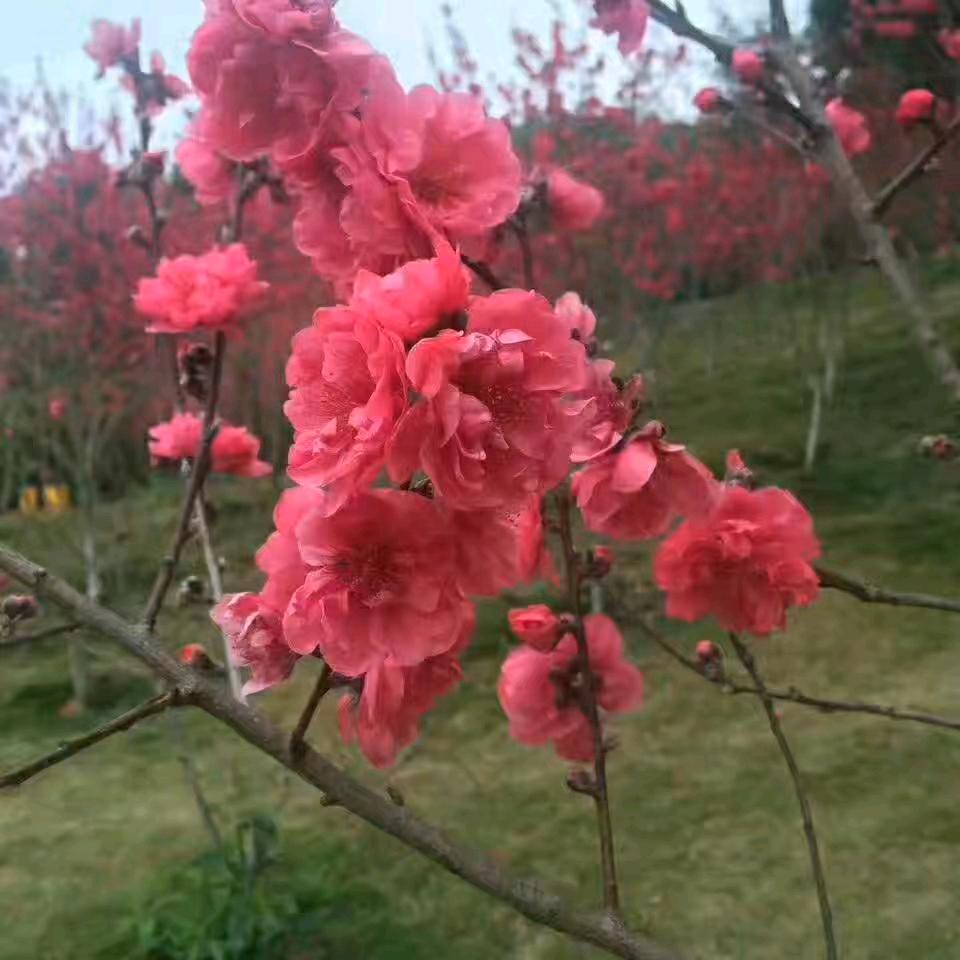 一笑☆而过
