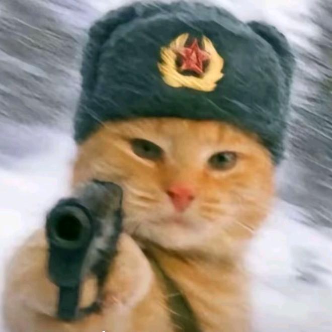 烈隼