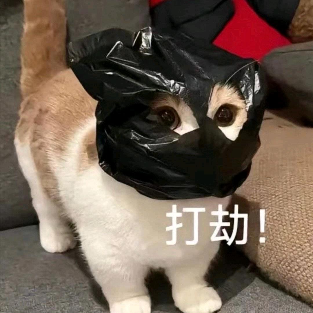 ꪔ̤̮ 凤梨芒果ꪔ̤̥ ᴸ