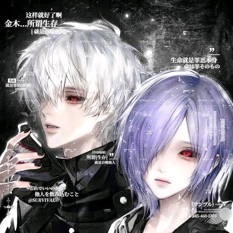 夙浅（封票版）