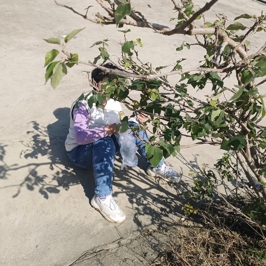 咸鱼小卷