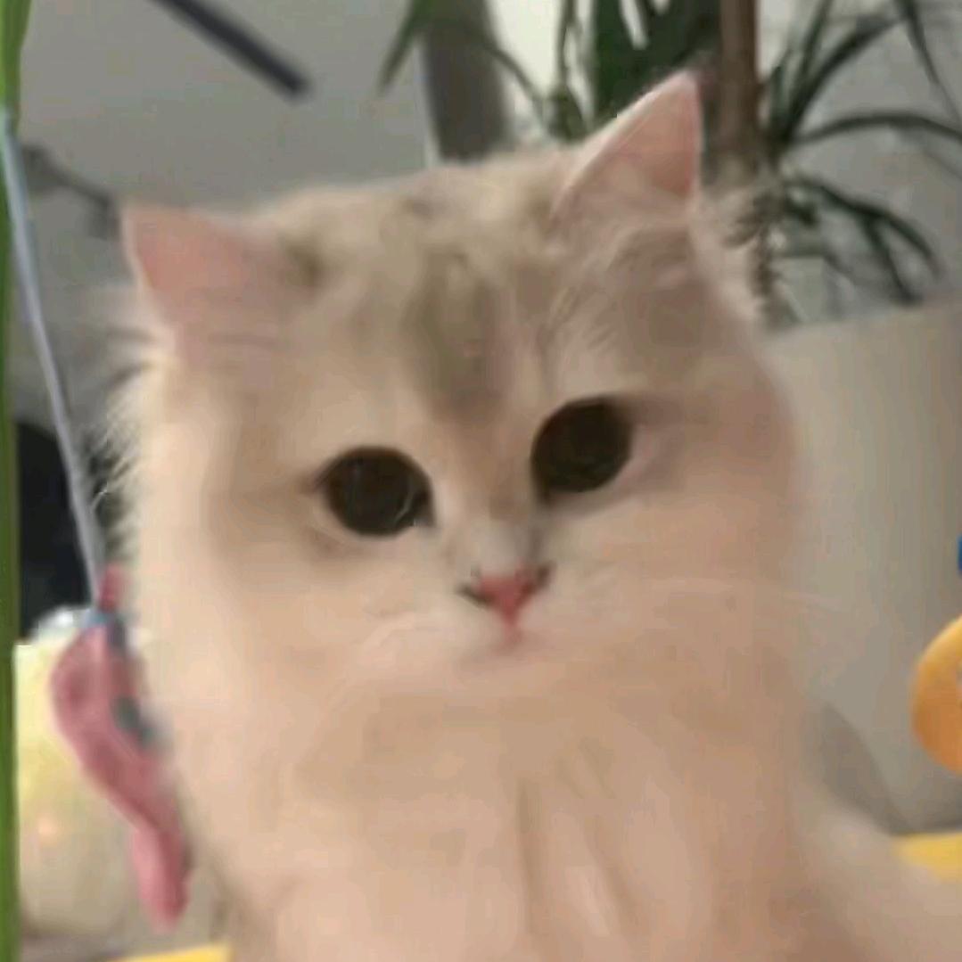 蛋堡
