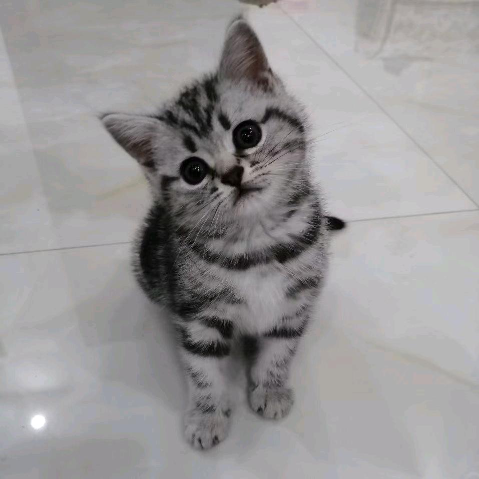 : 🚬ಇ餘生࿆ྃ只搞💰㊖