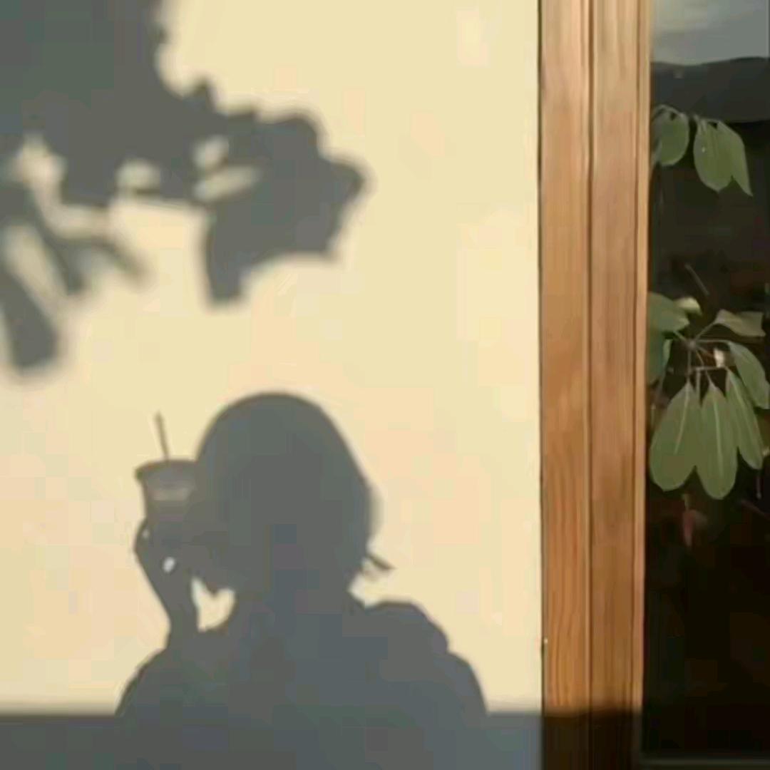 他山故人🌿一叶铅华