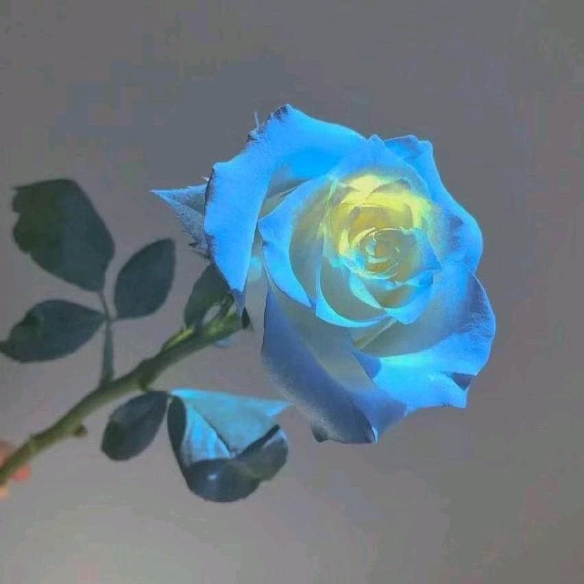 阿克斑玛服装店